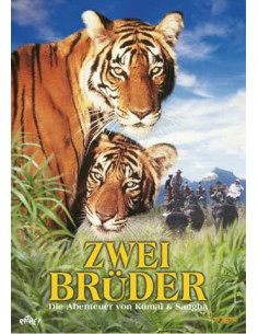 Zwei Brüder (DVD)