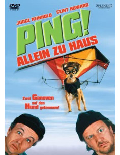 Ping! - Allein zu Haus (DVD)