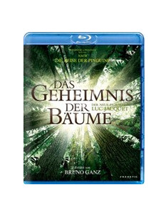 Das Geheimnis der Bäume...