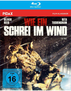 Wie ein Schrei im Wind...