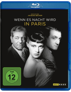 Wenn es Nacht wird in Paris...