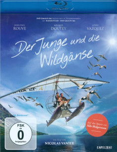Der Junge und die Wildgänse...